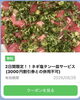 「2日間限定！ネギ塩タン皿サービスクーポンのお知らせ」