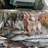 📣本日のお魚情報🐟