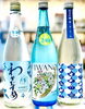 「～碧空炎暑～【福島区・日本酒セラー HARETOKE】」