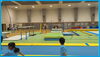 横浜練習会「🤸 横浜練習会 🏅🥇　★英会話と体操のコラボ教室（堀切、お花茶屋、綾瀬、亀有、小菅）」