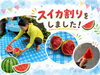 夏の思い出に♪みんなでスイカ割り体験！「みんなでスイカ割りを楽しみました🍉」