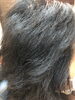 「抗がん剤治療後のカラー・縮毛矯正はいつから？ケモカールと髪の回復｜小樽の美容室・YASUE TEAM」