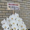 創立5周年のお祝い胡蝶蘭をいただきました！ありがとうございます😊