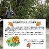 記念公園の草花育成ボランティア募集のお知らせ(2026/9/17)