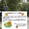 記念公園の草花育成ボランティア募集のお知らせ(2026/9/17)