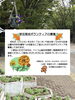 「記念公園の草花育成ボランティア募集のお知らせ(2026/9/17)」