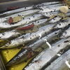 喜多方でのお食事はトレビで！秋の味覚・秋刀魚のコンフィが今年も登場します