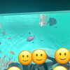 葛西臨海水族園へ遠足！見る・聞く・買う、たくさんの経験ができました♪