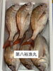 鯛「鮮魚入荷中でーす」