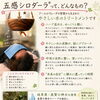 五感シロダーラ®って、どんなもの？
