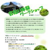 森の循環ワークショップ『苔貼り体験』