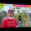 ☆カラフル野菜の小山農園『ノンストップ！』無事にオンエア📺☆