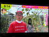 今月もたくさんのテレビ局が取材に来園。「☆カラフル野菜の小山農園『ノンストップ！』無事にオンエア📺☆」