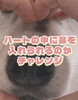 「＼ハートの中に鼻を入れられるかチャレンジ🫶🐶／」