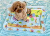 もっぷくん「波とわんこ🌊」