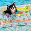 波とわんこ🌊　スタッフ犬編