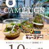 夏休み最後の土曜日、何する？ 今日の苔テラリウム体験は10％OFF【14時・17時空きあり】