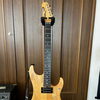 Washburn N4 USA。弾きやすさが魅力のエレキギター