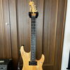 Washburn N4 USA。弾きやすさが魅力のエレキギター