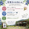 営業日のお知らせ🫐🌿