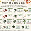 9月の飾り葉のご紹介🍁【観音寺市＊食品卸＊業務用食品】
