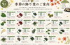 「9月の飾り葉のご紹介🍁【観音寺市＊食品卸＊業務用食品】」