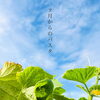 9月から秋冬メニュー
