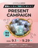 「9月のご契約プレゼント🎁✨来店予約承り中♪お気軽にお電話ください☎︎【東京都葛飾区限定！成人式の豪華振袖フルセットレンタル)」