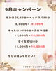 9月キャンペーン「9月キャンペーンのご案内🌿【扶桑町/大口町/犬山市/リラクゼーションサロン Te.lu.lu（テルル）/もみほぐし/タイ古式/オイルリンパ/メンテナンス/肩こり】」