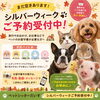 シルバーウィークのご予約受付中です🍁