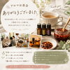 アロマお茶会を開催しました🌿みんなで楽しく学ぶ香りの時間