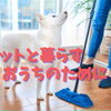 ペットのためのお掃除用品のご紹介♪