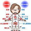 【枚方市駅2分】🌿9月は「自律神経をいたわる温活」をはじめませんか？