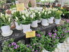 「9月21日は敬老の日。感謝の気持を込めてお花を贈りませんか。」