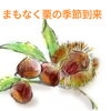 ９月！秋！
