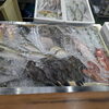 📣本日のお魚情報🐟