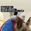 🐶新学期スタート！まだまだ暑さにご注意を☀️