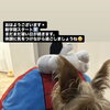 🐶新学期スタート！まだまだ暑さにご注意を☀️