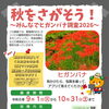 【9/1～10/31】 秋を探して図書カード500円分ゲット！？「みんなでヒガンバナ調査2026」が実施中！