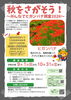 「【9/1～10/31】 秋を探して図書カード500円分ゲット！？「みんなでヒガンバナ調査2026」が実施中！」