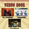 11/28（土）VENUS ROCK開催！THE STEREOGANGら3組がHACOに登場