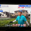 ☆カラフル野菜の小山農園『スーパーJチャンネル』無事にオンエア📺☆
