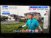 今月も早々に取材していただきました👨‍🌾「☆カラフル野菜の小山農園『スーパーJチャンネル』無事にオンエア📺☆」