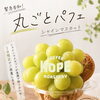 【焙煎工房コペ】緊急告知！！