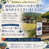 2026年 ブルーベリー狩り終了のお知らせ🫐