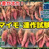 サツマイモの連作障害とは!? 野菜つくりにおいて一番問題となる原因を解明してみました。　たねのハシモトミヤ