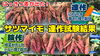 「サツマイモの連作障害とは!? 野菜つくりにおいて一番問題となる原因を解明してみました。　たねのハシモトミヤ」