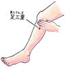 図①　足三里「ツボの話〜四総穴〜」
