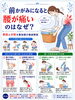 「前かがみになると腰が痛いのはなぜ？原因と対策｜福島市で腰痛にお悩みの方へ」