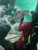 「夏休み紹介⑤「特別プログラムat葛西臨海水族園」」